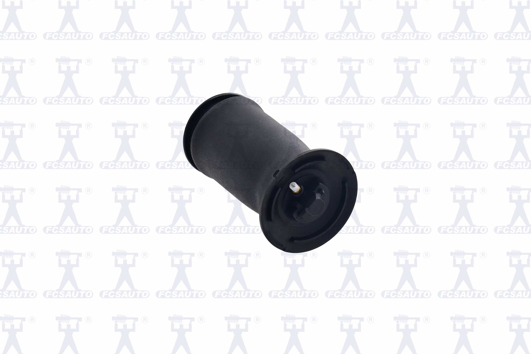 Rear Air Suspension Spring | FCS Q4006 Fits BMW - Main Image